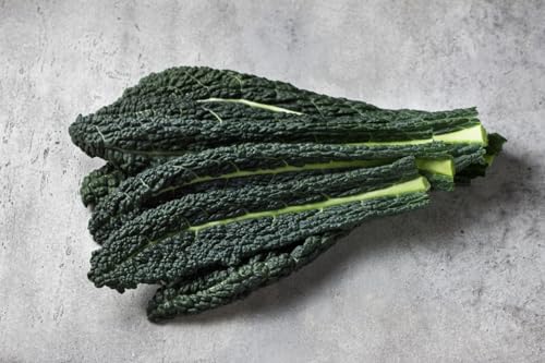 1000 Samen Grünkohl Black of Toscana Kale Kohl Krauskohl Winter Gemüse Vegan von Generisch