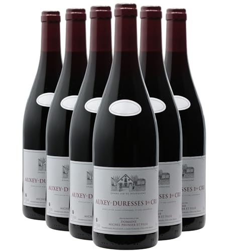 Auxey-Duresses 1er Cru Rotwein 2021 - Domaine Michel Prunier et Fille - g.U. - Burgund Frankreich - Rebsorte Pinot Noir - 6x75cl von Generisch