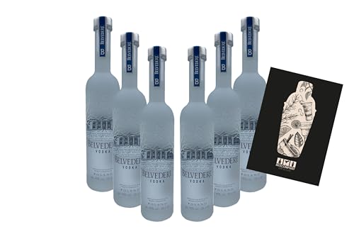 Belvedere Vodka 6er Set - 6x 20 cl (40% Vol) Poland Wodka Vodka - [Enthält Sulfite] von Generisch