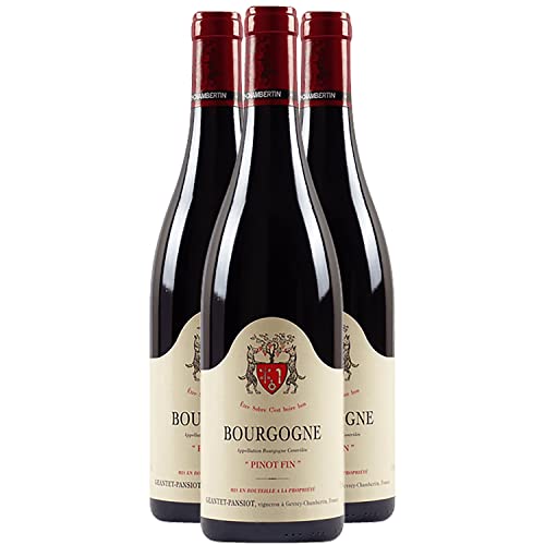 Bourgogne Pinot Noir Rotwein 2022 - Domaine Geantet-Pansiot - g.U. - Burgund Frankreich - Rebsorte Pinot Noir - 3x75cl von Generisch