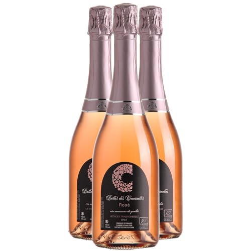 Bulles des Coccinelles Brut Roséwein - Bio - französischer Wein - Sekt - Rhonetal Frankreich - Rebsorte Carignan - 3x75cl von Generisch