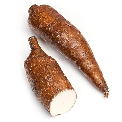 Entdecken Sie die Natürliche Kraft von Maniok – Ihr Alltags-Superfood! Entdecken Sie die Natürliche Kraft von Maniok – Ihr Alltags-Superfood! von Generisch