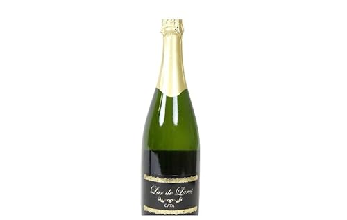 Cava halbtrocken, 75 cl Flasche. 2er-Pack. Cava halbtrocken, 75 cl Flasche. 2er-Pack. von Generisch