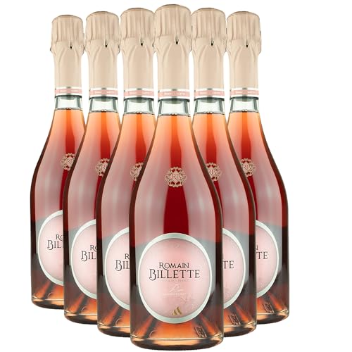 Champagne La Richesse du Fruit Brut Rosé - Champagne Romain Billette - Rebsorte Pinot Meunier - 6x75cl von Generisch