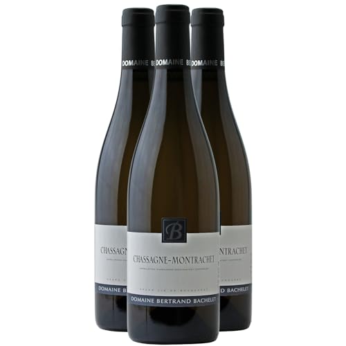 Chassagne-Montrachet Weißwein 2022 - Domaine Bertrand Bachelet - g.U. - Burgund Frankreich - Rebsorte Chardonnay - 3x75cl von Generisch