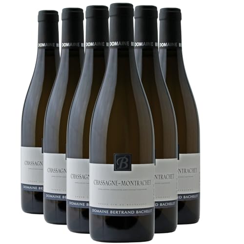 Chassagne-Montrachet Weißwein 2023 - Domaine Bertrand Bachelet - g.U. - Burgund Frankreich - Rebsorte Chardonnay - 6x75cl Chassagne-Montrachet Weißwein 2023 - Domaine Bertrand Bachelet - g.U. - Burgund Frankreich - Rebsorte Chardonnay - 6x75cl von Generisch