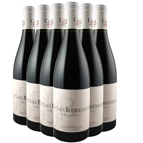 Côteaux Bourguignons Rotwein 2021 - Domaine Gavignet-Béthanie et Filles - g.U. - Burgund Frankreich - Rebsorte Pinot Noir, Gamay - 6x75cl von Generisch