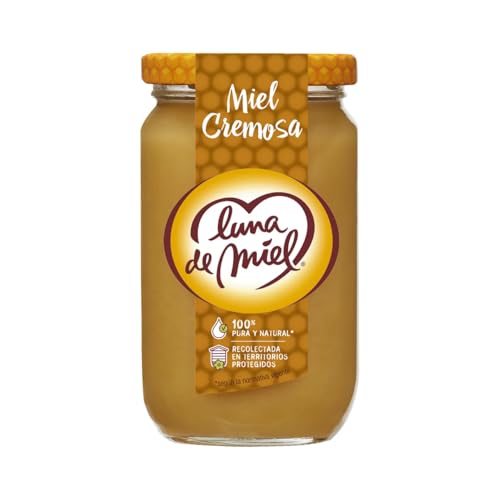 Cremiger Blütenhonig spanische 375 g. 2er Pack von Generisch