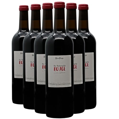En Vadrouille Rotwein 2022 - Bio - Bruno Dangin - französischer Wein - Burgund Frankreich - Rebsorte Gamay - 6x75cl von Generisch