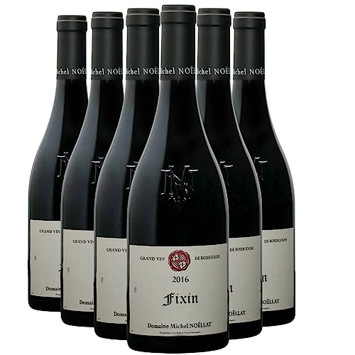 Fixin Rotwein 2016 - Domaine Michel Noellat - g.U. - Burgund Frankreich - Rebsorte Pinot Noir - 6x75cl von Generisch