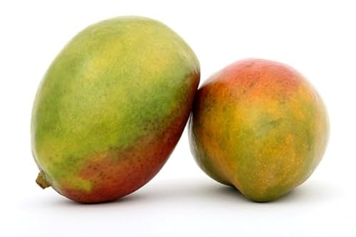 Frische Mango von Generisch