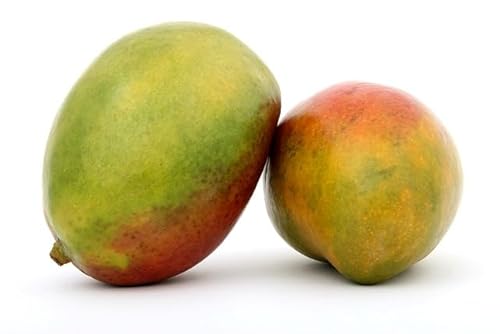 Frische Mango von Generisch