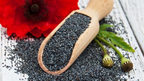Gemahlener Mohn Blaumohn 100% 250g Gemahlener Mohn Blaumohn 100% 250g von Generisch