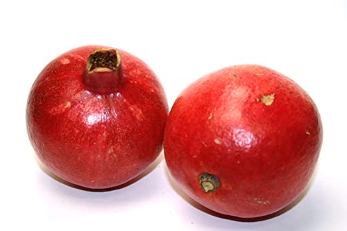 Granatapfel rot von Generisch