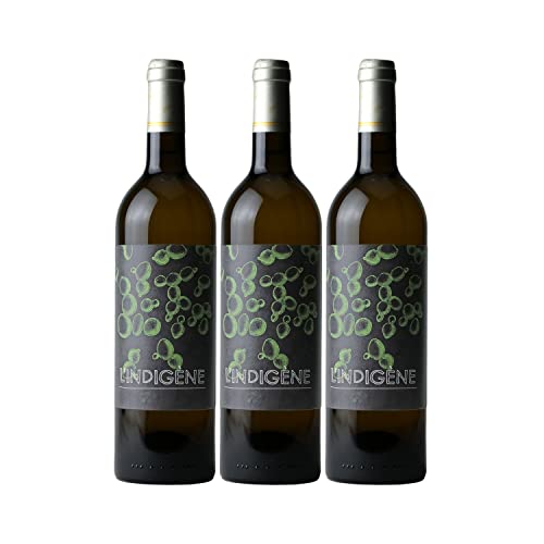 Indigène Weißwein 2020 - Les Frères Moine - französischer Wein - Süd-West Frankreich - Rebsorte Chenin - 3x75cl von Generisch
