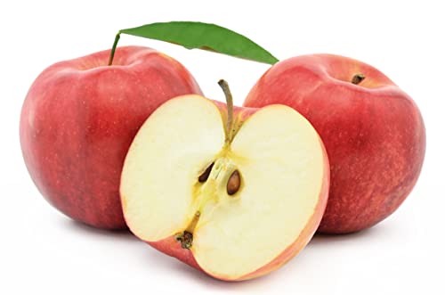 Jonagold Äpfel, 5kg, Speiseapfel, Tafelapfel, direkt vom Hofladen, aus Österreich, Steiermark, frische Äpfel, Red Prince von Generisch