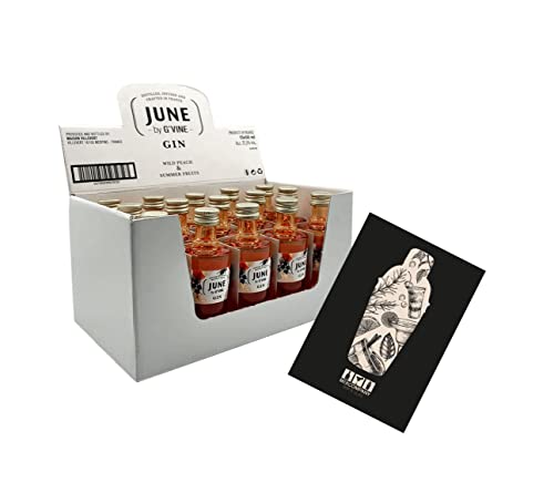 June by G Vine Gin Miniatur 15x 50ml (37,5% vol) Wild Peach + Summer Fruits Mini- [Enthält Sulfite] von Generisch