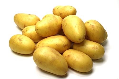 Kartoffeln Annabell von Generisch