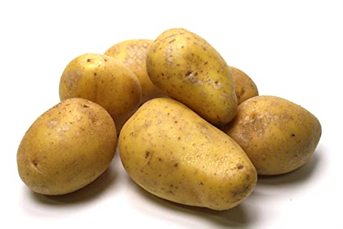 Kartoffeln Festkochend von Generisch