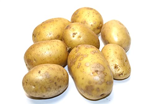 Kartoffeln Mehligkochend 2kg von Generisch