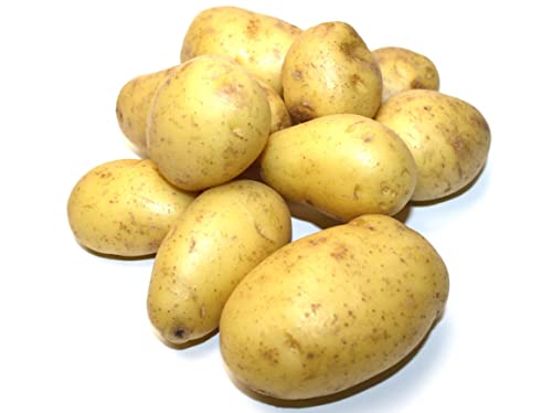 Kartoffeln Vorwiegend Festkochende von Generisch