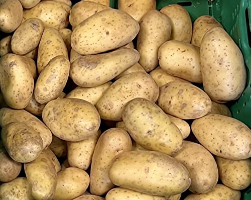 Kartoffeln aus Österreich 5kg, Salatkartoffel von Generisch