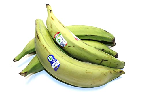 Kochbananen (Platanos) – Exotische 1 kg Kochbananen (Platanos) – Exotische 1 kg von Generisch