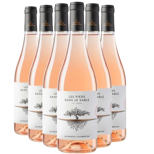 Landes Les Pieds dans le Sable Roséwein 2023 - Domaine de la Pointe - g.g.A. - Süd-West Frankreich - Rebsorte Cabernet Franc, Cabernet Sauvignon - 6x75cl Landes Les Pieds dans le Sable Roséwein 2023 - Domaine de la Pointe - g.g.A. - Süd-West Frankreich - Rebsorte Cabernet Franc, Cabernet Sauvignon - 6x75cl von Generisch