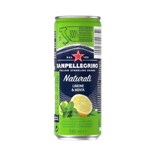 Mineralwasser mit Kohlensäure, Zitronen- und Minzgeschmack bis16 330 ml. 12er Pack Mineralwasser mit Kohlensäure, Zitronen- und Minzgeschmack bis16 330 ml. 12er Pack von Generisch