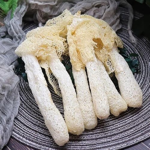 Natürlicher Loser Chinesischer Zhushun Kräutertee Aus Biologischem Anbau Als Suppenkraut Mit Einzigartigem Geschmack Veganer Dufttee Koffein Und Zusatzstofffreier Grüner Bio Kräutertee (500g) von Generisch