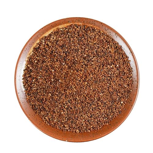 Natürlicher Ophiopogon Japonicus Bio Kräutertee Aus China Grüner Natürlicher Bio Dufttee Vegetarisch Nährendes Yin Und Erfrischender Geschmack Kaltgebrühter Tee Blüten Und Früchtetee (50g) von Generisch