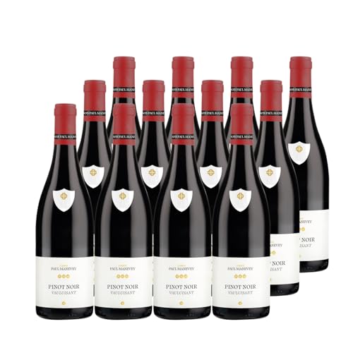 Pinot Noir Vauluisant Weißwein 2023 - Maison Paul Manevey - französischer Wein - Burgund Frankreich - Rebsorte Pinot Noir - 12x75cl Pinot Noir Vauluisant Weißwein 2023 - Maison Paul Manevey - französischer Wein - Burgund Frankreich - Rebsorte Pinot Noir - 12x75cl von Generisch