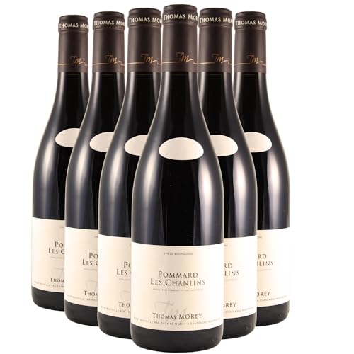 Pommard 1er Cru Les Chanlins-Bas Rotwein 2021 - Domaine Thomas Morey - g.U. - Burgund Frankreich - Rebsorte Pinot Noir - 6x75cl von Generisch