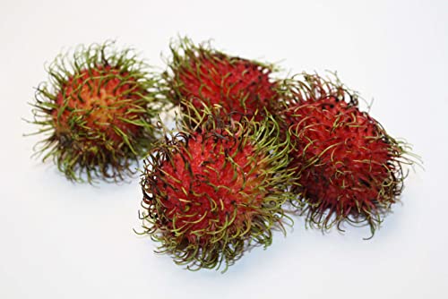 Rambutan Rambutan von Generisch