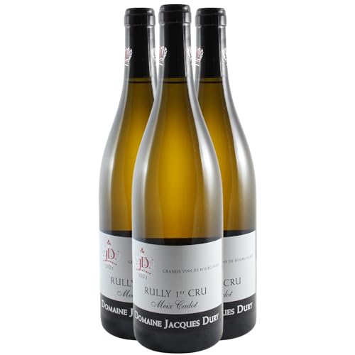 Rully 1er Cru Le Meix Cadot Weißwein 2021 - Domaine Jacques Dury - g.U. - Burgund Frankreich - Rebsorte Chardonnay - 3x75cl von Generisch