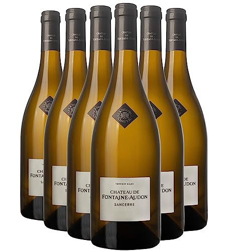 Sancerre Château Fontaine Audon Weißwein 2022 - Langlois-Château - g.U. - Loiretal Frankreich - Rebsorte Sauvignon Blanc - 6x75cl von Generisch