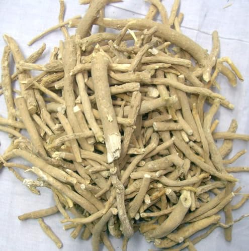 VK Ashwagandha Dry Root - 500 GMS | Ashwagandha Jadi Buti Sticks Withania Somnifera Indian Ginseng - Withania Somnifera Root VK Ashwagandha Dry Root - 500 GMS | Ashwagandha Jadi Buti Sticks Withania Somnifera Indian Ginseng - Withania Somnifera Root von Generisch