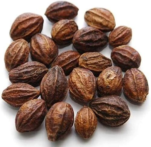 VK Kadukkai | Haritaki | Myrobalan | Ink Nut 100gm VK Kadukkai | Haritaki | Myrobalan | Ink Nut 100gm von Generisch