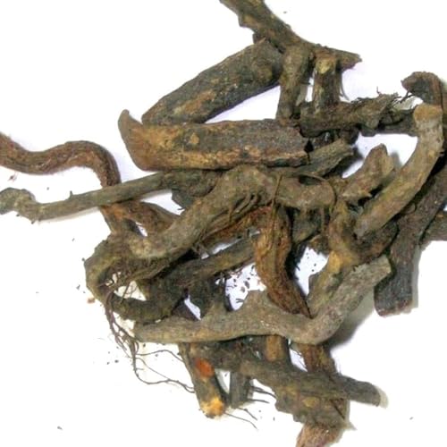 VK Nirgand Nirgundi Root Vitex Negundo Root Dried 200gm Nishinda, Nirgundi, Samalu, Huang ping VK Nirgand Nirgundi Root Vitex Negundo Root Dried 200gm Nishinda, Nirgundi, Samalu, Huang ping von Generisch
