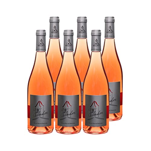 Vaucluse Petit Clocher Roséwein - Arnoux et Fils - Rebsorte Grenache, Cinsault, Syrah - 6x75cl Vaucluse Petit Clocher Roséwein - Arnoux et Fils - Rebsorte Grenache, Cinsault, Syrah - 6x75cl von Generisch