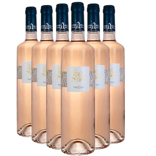 Vignobles Dulon Rose des Sables Roséwein 2022 - französischer Wein - Bordeaux Frankreich - Rebsorte Cabernet Sauvignon, Merlot - 6x75cl von Generisch