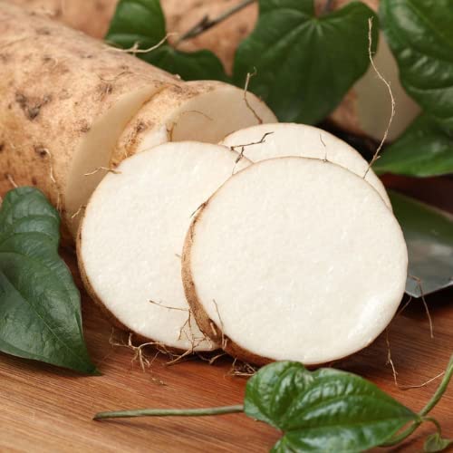 Yamswurzel 1kg Yamswurzel 1kg von Generisch