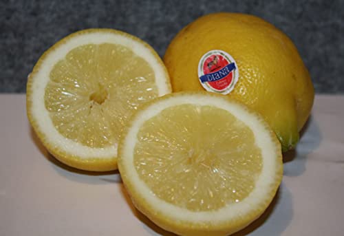 Zitronen Diana, Ungespritzte Zitronen, Schale Genießbar von Generisch