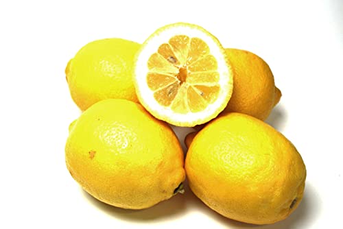 Zitronen von Generisch