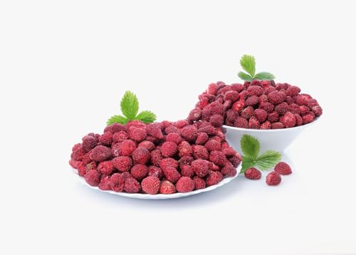 biolla food getrocknete ganze WALD-Erdbeeren, 0,5 kg, frische Ernte, 100% natur. Besonders viele Vitamine und Minearlien. Ideal für Smoothies, Müsli oder zum Tee. Auch als Knabberzeug sehr gesund! biolla food getrocknete ganze WALD-Erdbeeren, 0,5 kg, frische Ernte, 100% natur. Besonders viele Vitamine und Minearlien. Ideal für Smoothies, Müsli oder zum Tee. Auch als Knabberzeug sehr gesund! von Generisch
