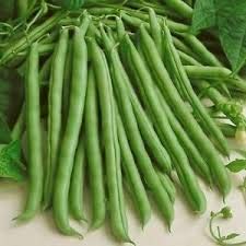 Genipap 100 Pole Bean Gemüsesamen. Genipap 100 Pole Bean Gemüsesamen. von Genipap