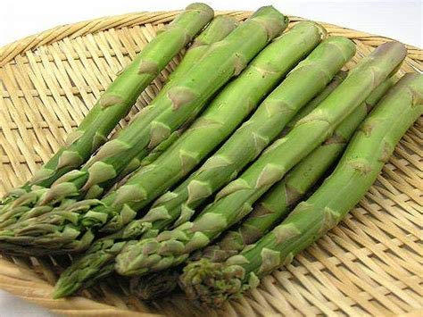 Genipap 20 Gemüsesamen mit weißem Spargel Genipap 20 Gemüsesamen mit weißem Spargel von Genipap