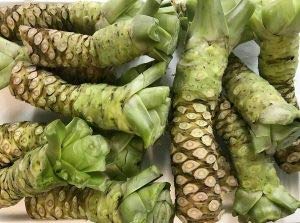 Genipap 200 Wasabi-Gemüsesamen Genipap 200 Wasabi-Gemüsesamen von Genipap