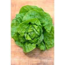 Genipap 25 Ball Kopfsalat Gemüsesamen Grün. Genipap 25 Ball Kopfsalat Gemüsesamen Grün. von Genipap