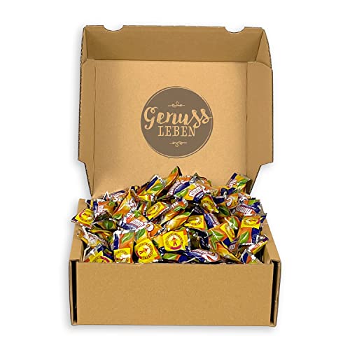 Genussleben Box mit 1kg Nimm2, Lutschbonbons in Grosspackungen, Fruchtbonbon Mischung von Genussleben